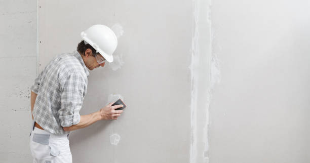Best Water Damage & Mold Remediation  in Solvang, CA