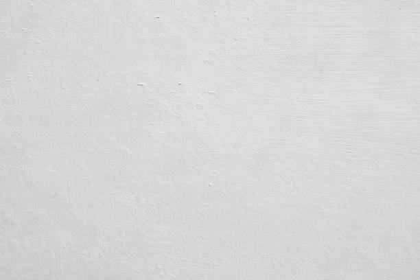 Professional Mold Removal in Solvang, CA