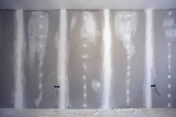 Best Post-Construction Mold Inspection  in Solvang, CA